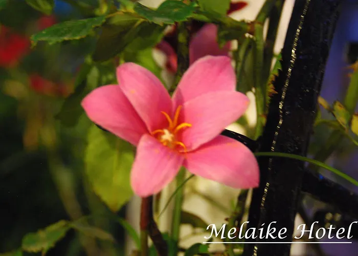 Hotel Melaike 3*
