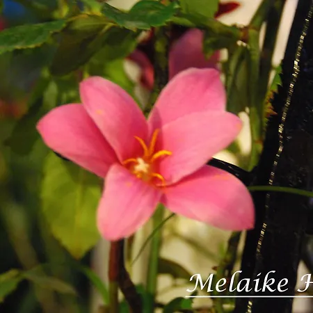Hotel Melaike 3*