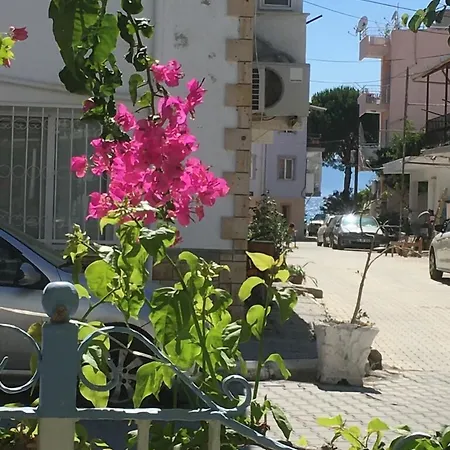 Melaike 3*
